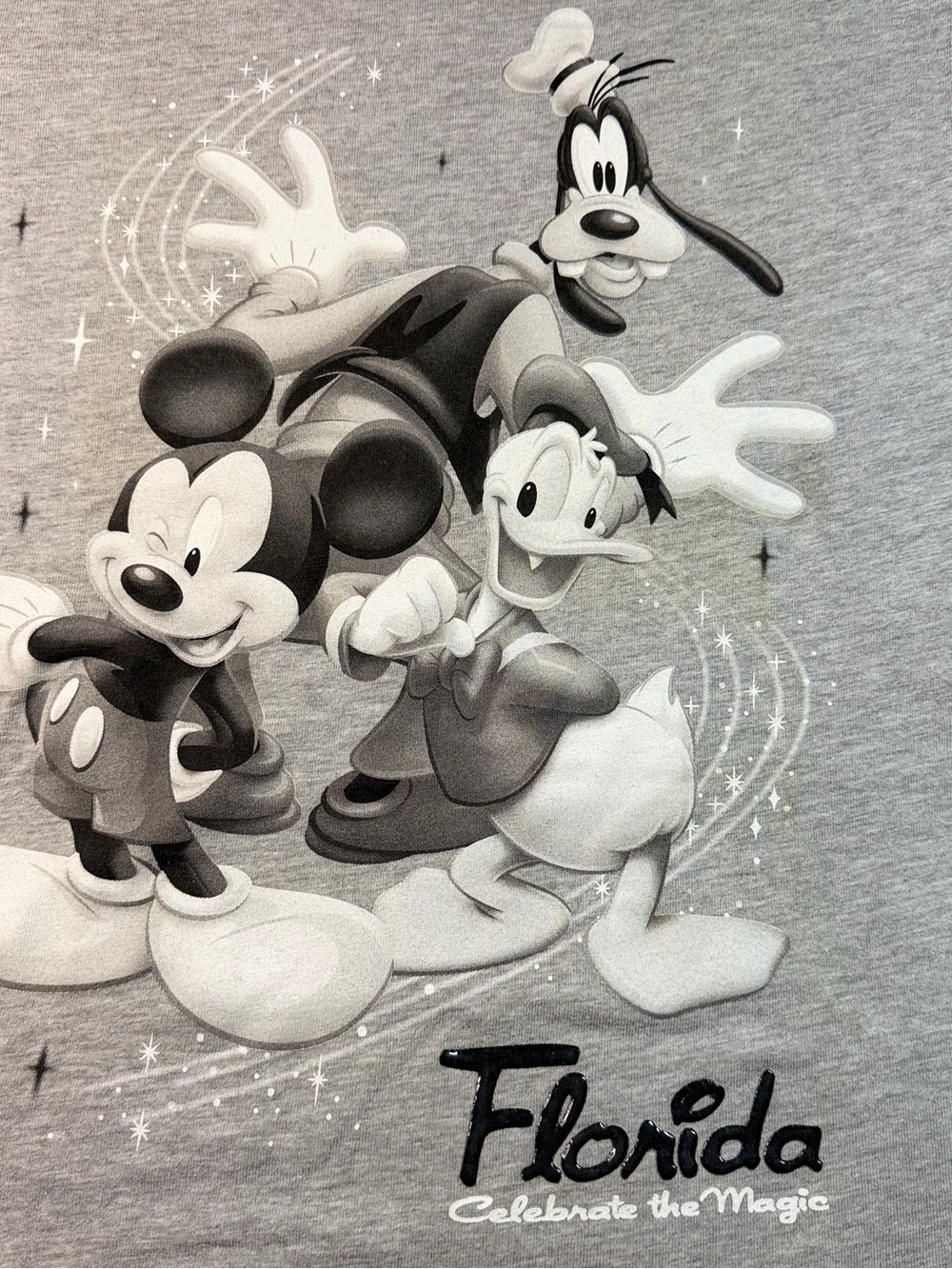 Disney Gray Mickey, Donald & Goofy Florida Graphic Tee - Picture 2 of 9